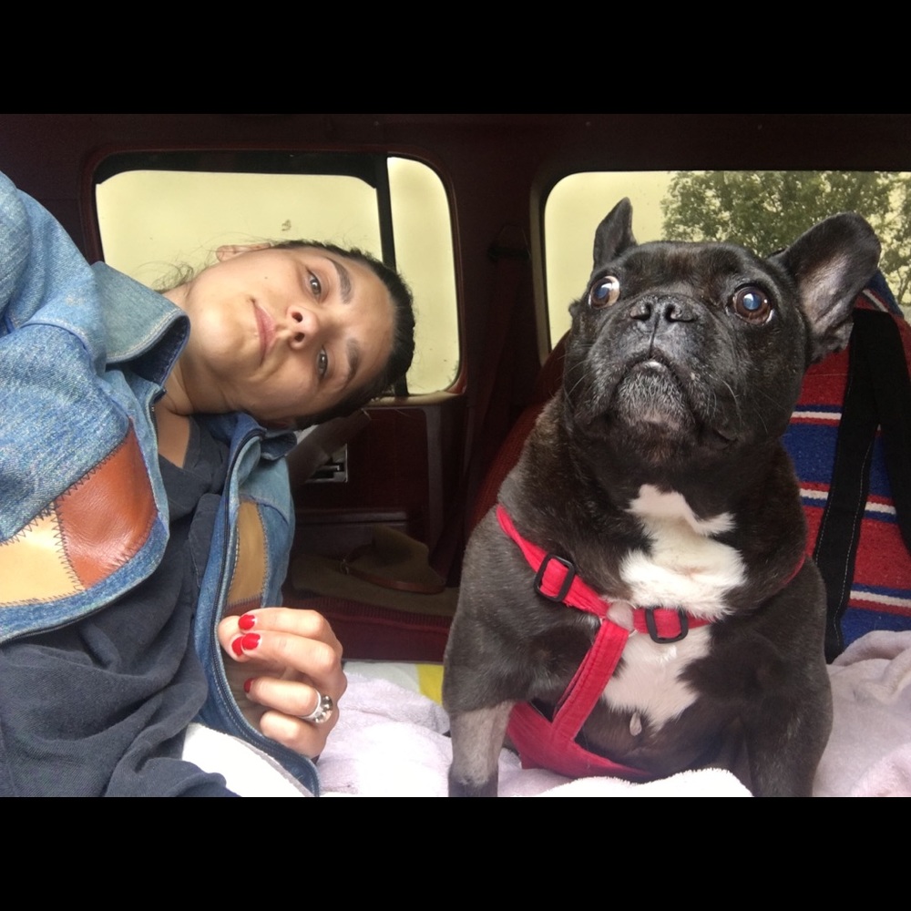 Meet your Posher, Caitlin